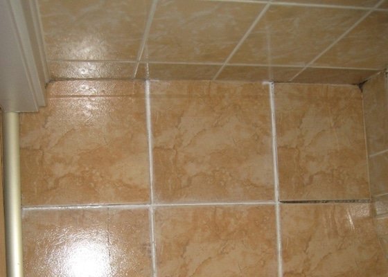 Výměna vaničky sprchového koutu + výměna dlažby v koupelně