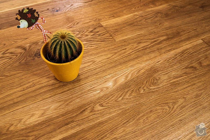 Renovace dřevěné podlahy: 8v