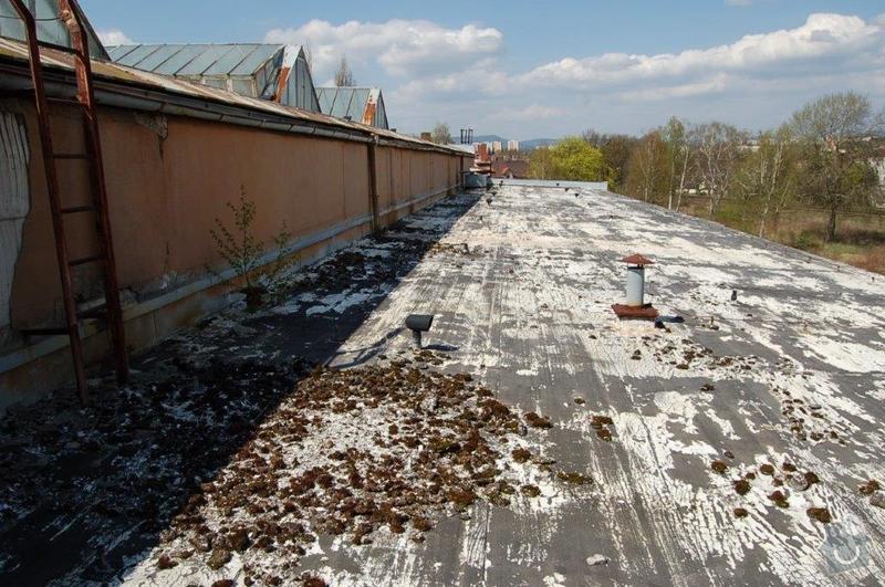 Ploché střechy: Spodní střecha ,nátěr bílá barva?
