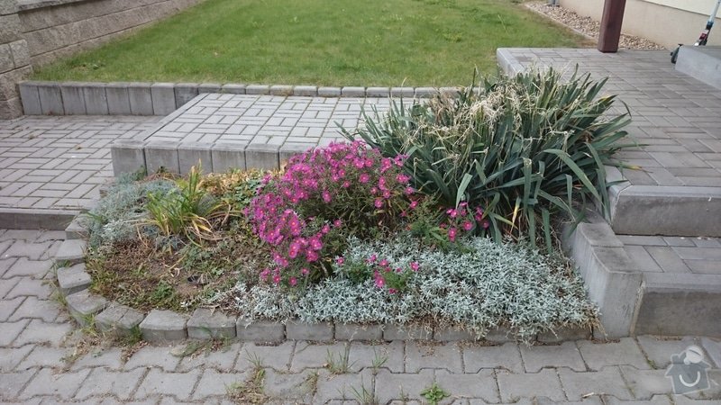 Zahrada - trávník 300m + likvidace předzahrádky: přerostlá předzahrádka k likvidaci