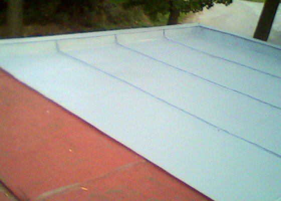   Potřebuji natřít plochou střechu garže, Lačnov  