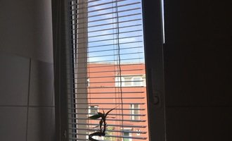 Mytí oken včetně žaluzií - stav před realizací