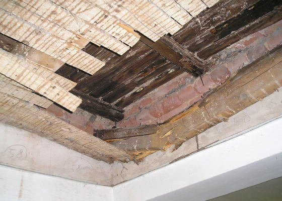 Výměna trámů napadených dřevomorkou, rekonstrukce střechy - stav před realizací