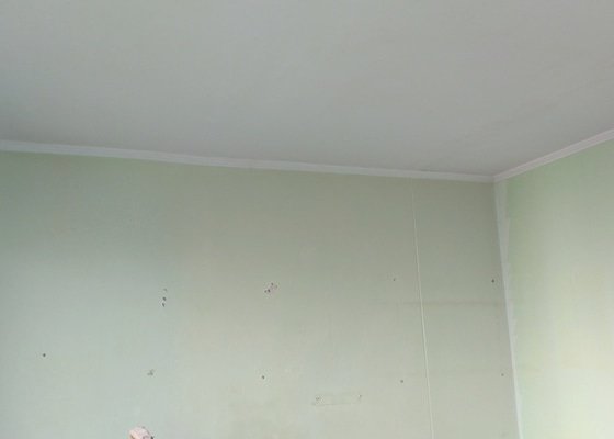 Výmalba - strop bílá, zdi dle výběru zelená, opravy kam se kouknu, tapetování