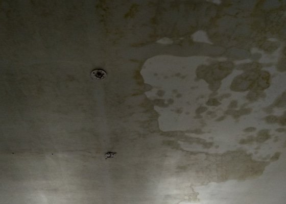 Sanace a vymalování stropů a stěn po vytopení