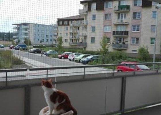 Síť pro kočky, balkon 18m2