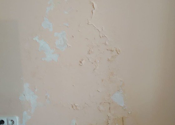 Vymalování domu (1 pokoj, schodiště, síň)