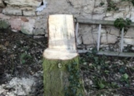 Kácení 2 stromů + rozřezání, likvidace dalšího dřev. odpadu