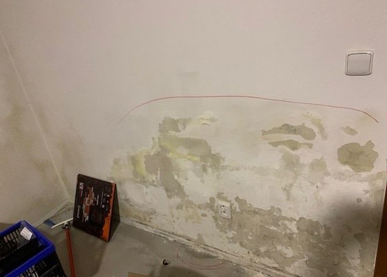 Renovace stěny po plísní včetně vymalování