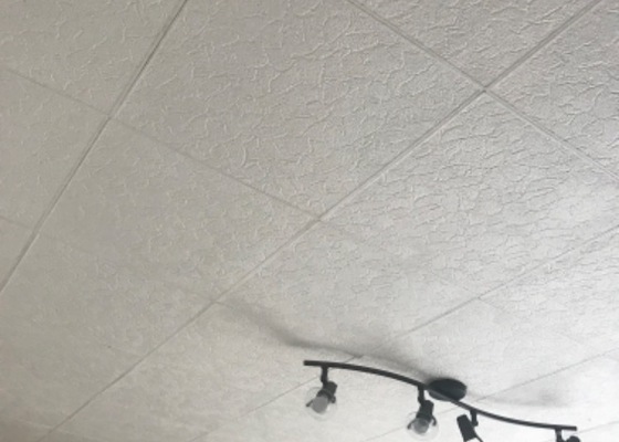 Nové stropy (3 místnosti), malba všech místností popřípadně štukování, instalce bodových světel