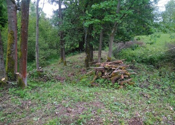 Likvidace náletových dřevin v obci Lučany nad Nisou