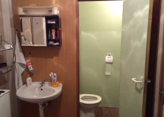Rekonstrukce koupelny a wc  a wc