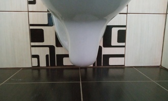 Oprava závěsného WC, kontrola bojleru