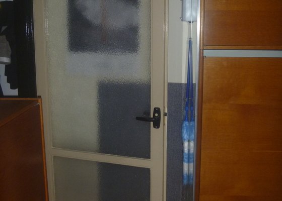 Dveře do pokoje zasklené s rozbitou dolní výplní bych potřeboval opravit.