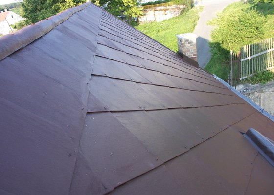 Natření střechy
