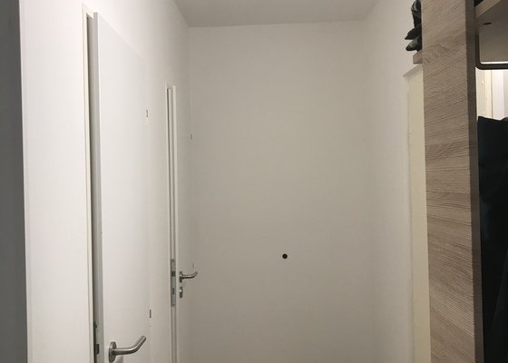 Malování bytu 1KK bílou barvou 38m2 Praha 5