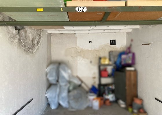 Oprava střechy a sanace zdiva garáže