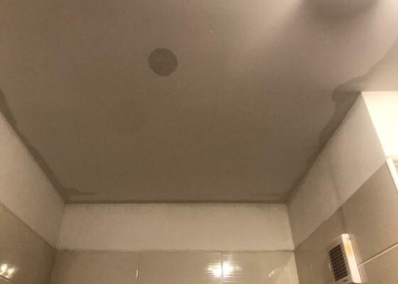 Výměna sádrokartonového podhledu v bytě panelového bytu (koupelna a předsíň), vymalování.