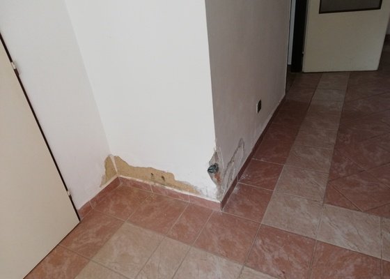 Vymalování domu (podlahová plocha 84m2), drobné opravy omítky