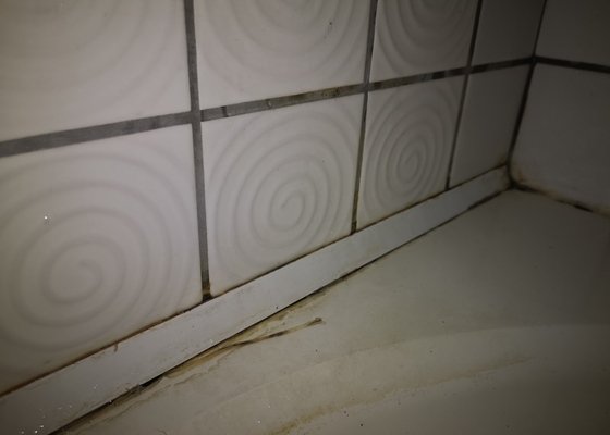 Oprava protékající vaničky sprch. koutu