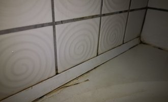 Oprava protékající vaničky sprch. koutu - stav před realizací