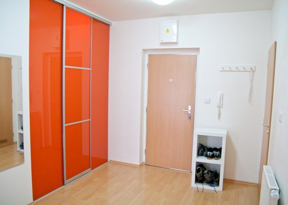 Vymalování bytu (2 pokoje, chodba a koupelna+zachod), 56m2