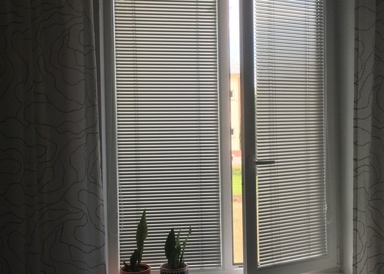 Sítě proti hmyzu do oken