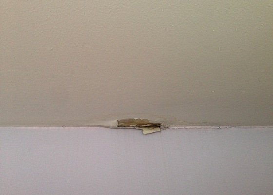 Malířské (chodba podél schodiště v mezonetovém bytě) + drobná oprava stropu