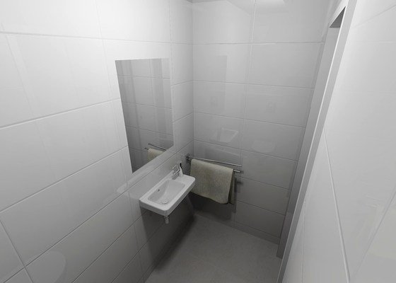 Rekonstrukce luxusní koupelny a přidělání WC