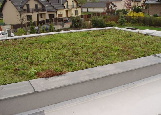 Vypletí zelené střechy cca 150 m2