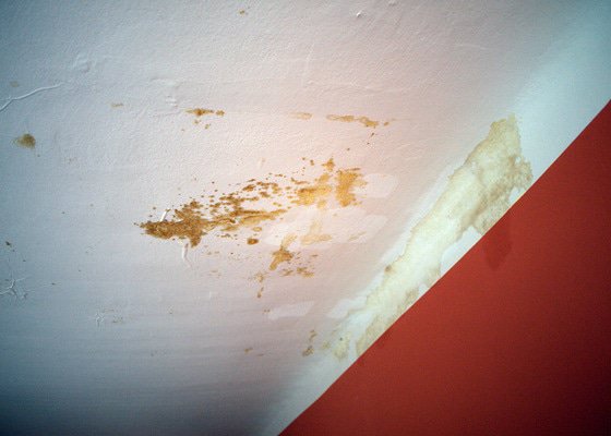 Oprava stropní omítky v činžovním domě a následné vymalování celého stropu
